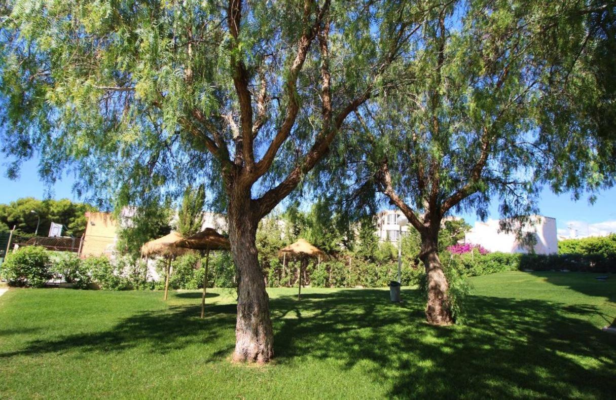Sweetwater Home - Apartamento Ideal Para Tus Vacaciones El Campillo del Moro Εξωτερικό φωτογραφία